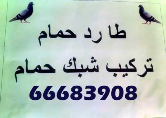 شبك مانع الحمام